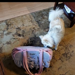 Dog purse carrier bag with blanket pad